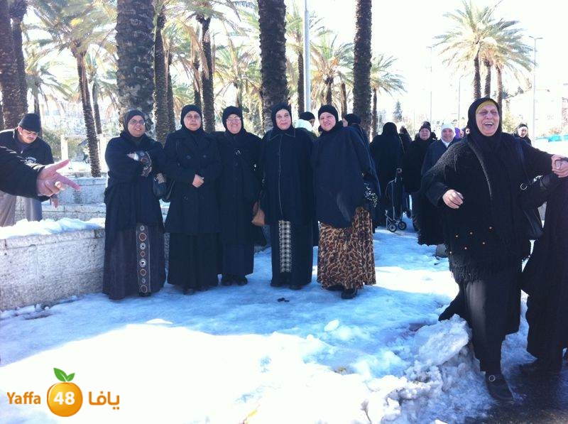 yaffa byareq (10).jpg